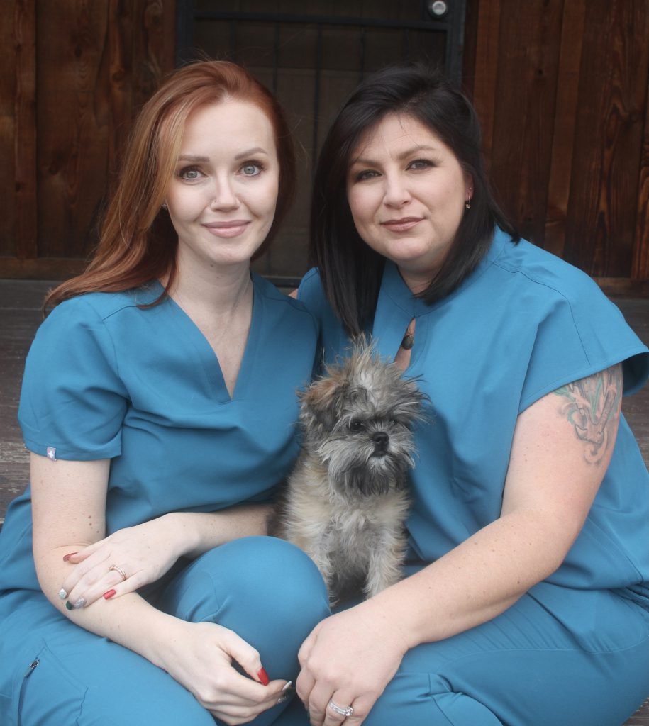 About us - Our team at Subzero Reproduction Canine Reproduction Services Temecula California